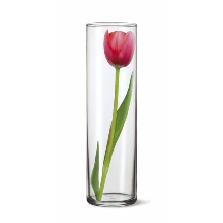 Üveg váza DRUM 28 x 8,4 cm