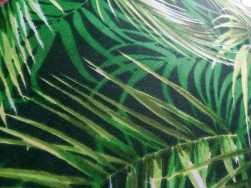 Napozó szivacs 180x60 cm zöld mexikói pálmaleveles