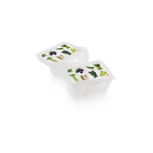 Snips FRESH PP doboz 23x27x10 cm 2 liter (2db-os)