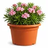 Mithos virágcserép 70 cm terrakotta