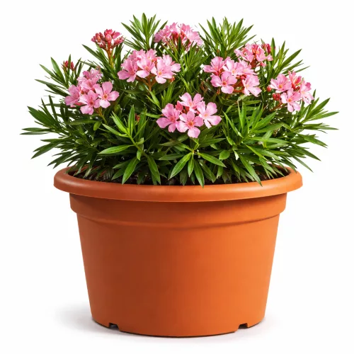 Mithos virágcserép 70 cm terrakotta