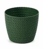 MANGOLIA JERSEY Cserép 26 cm