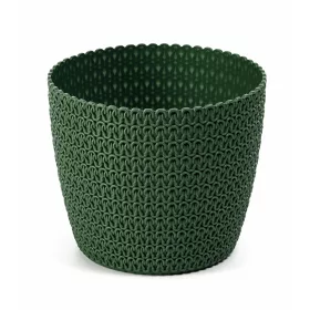 MANGOLIA JERSEY Cserép 26 cm
