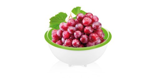 Tescoma VITAMINO szűrő tállal ø 20 cm, 2,0 l