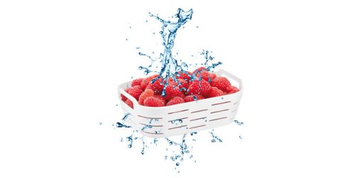 Tescoma 4FOOD tárolódoboz fagyasztóba kosárral 1,0 l