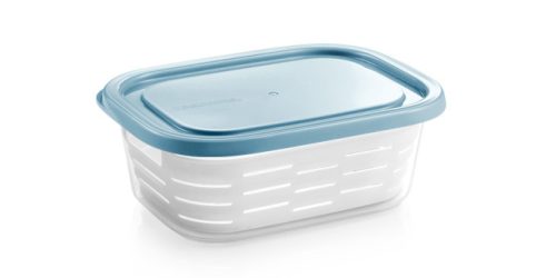 Tescoma 4FOOD tárolódoboz fagyasztóba kosárral 2,0 l