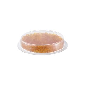 Tescoma Kapszula 4FOOD szárítózáras dobozhoz