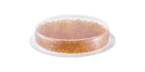 Tescoma Kapszula 4FOOD szárítózáras dobozhoz