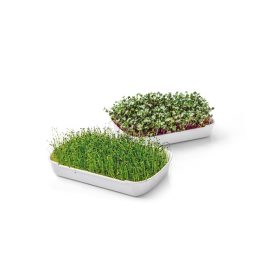Tescoma SENSE mikrozöldség-termesztő készlet