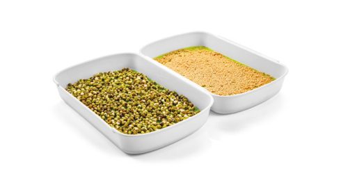 Tescoma SENSE mikrozöldség-termesztő készlet