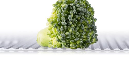 Tescoma FlexiSPACE antibakteriális alátét hűtőbe150 x 50 cm