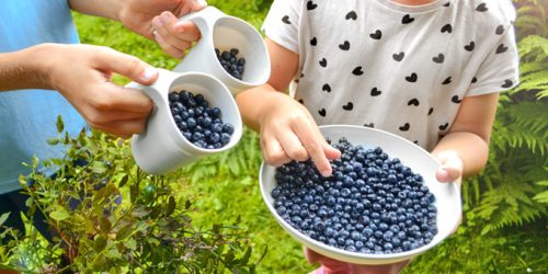 Tescoma MOVE tányér, 2 db