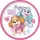 TÁNYÉR PRÉMIUM MŰA. 19,5CM PAW PATROL LÁNY