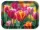 TÁLCA 33X24,5X1,8CM MŰA. TULIPÁN