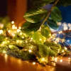 Home ML 30/WW micro LED-es fényfüzér, 2,9 m / 30 db melegfehér micro LED, állófényű, kapcsolható és időzíthető, átlátszó vezeték, elemes