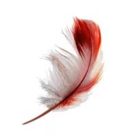 HOBBI KIEGÉSZÍTŐK